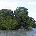 Belize030.jpg