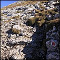 Schneibstein031.jpg