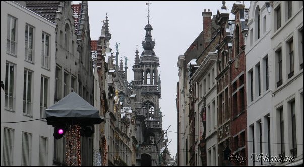 Brussel005.jpg