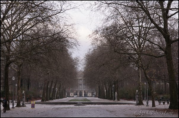 Brussel049.jpg