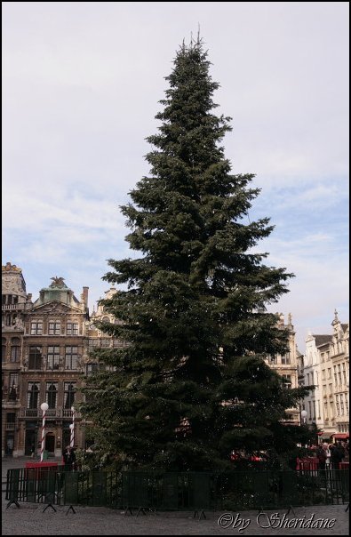 Brussel070.jpg