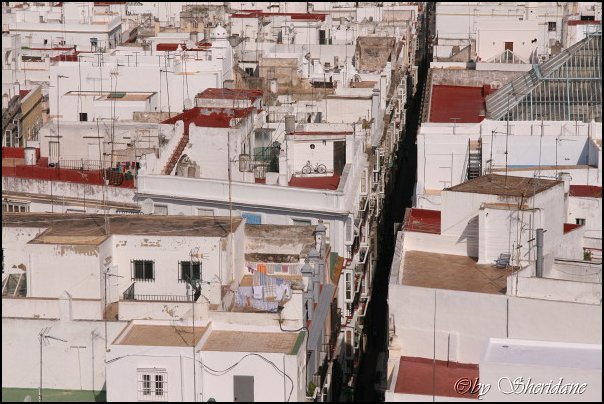 Cadiz018.jpg