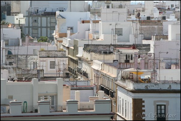Cadiz061.jpg