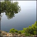Chalkidiki034.jpg