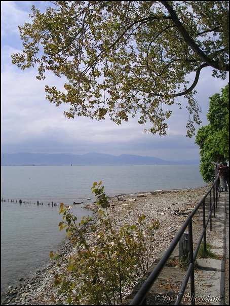 Bodensee010.jpg