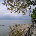 Bodensee010.jpg