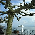 Bodensee029.jpg