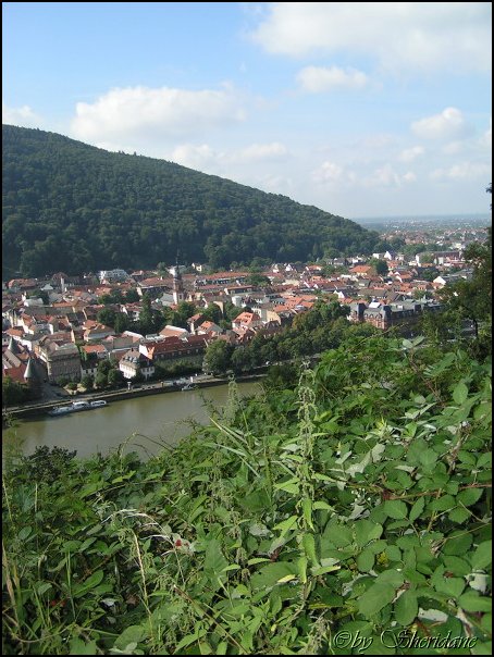 Heidelberg006.jpg