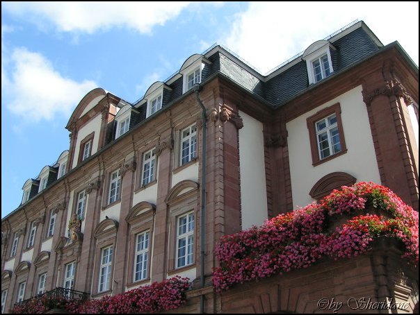 Heidelberg017.jpg