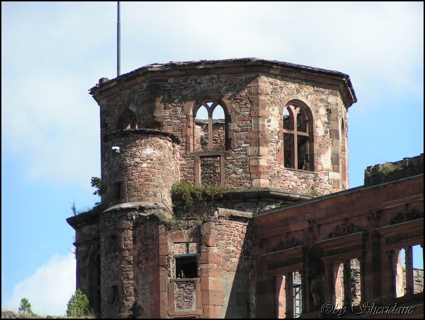 Heidelberg029.jpg