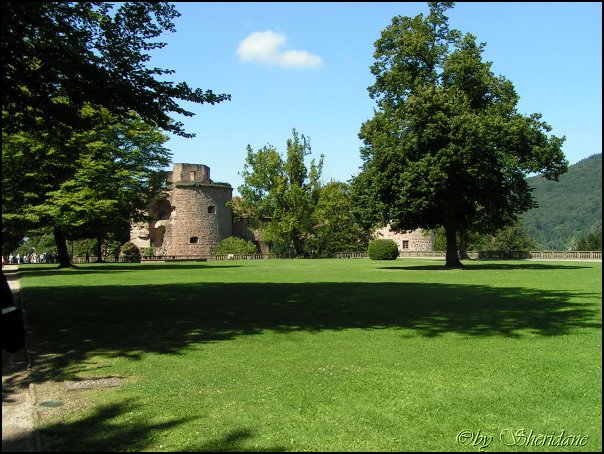 Heidelberg036.jpg