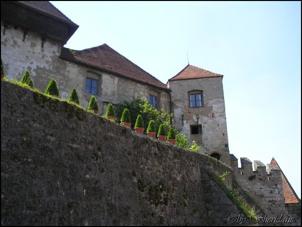 LGBurghausen011.jpg