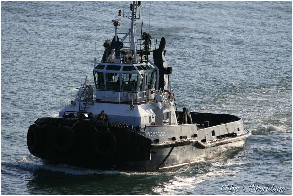 Dover008.jpg