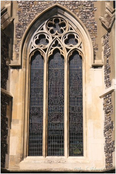 Dover019.jpg