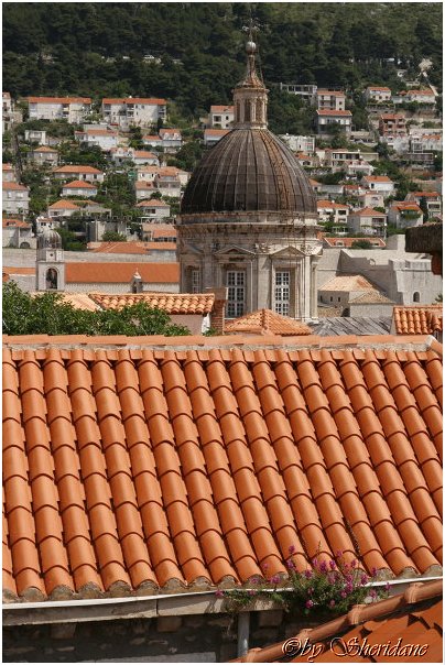 Dubrovnik0030.jpg