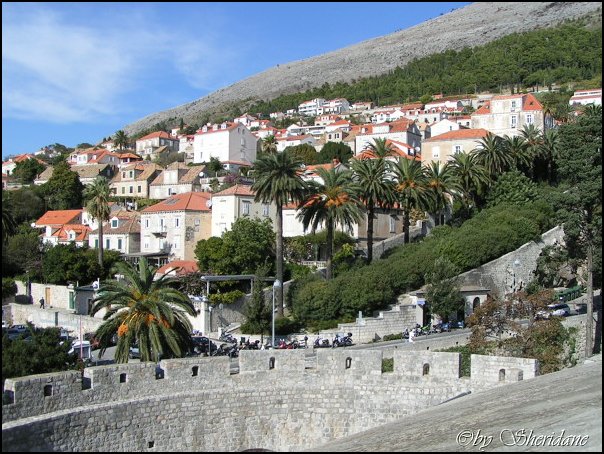 Dubrovnik031.jpg