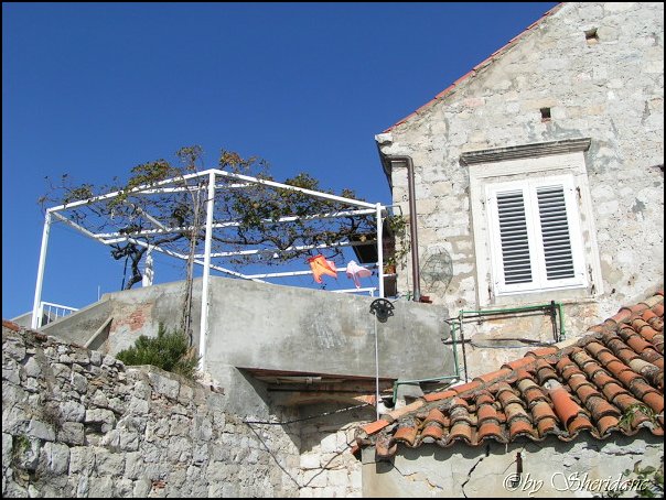 Dubrovnik037.jpg
