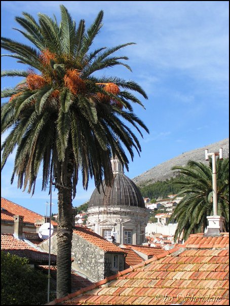Dubrovnik043.jpg