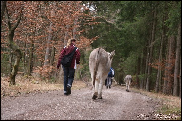 Eselfarm008.jpg