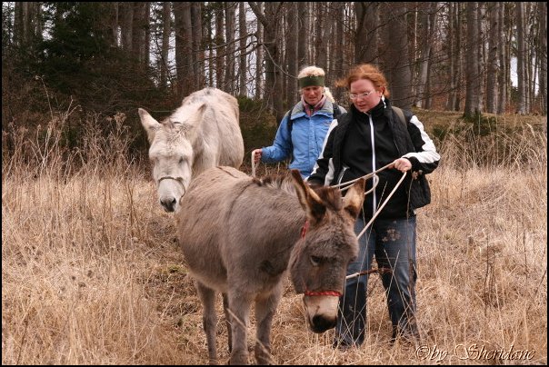 Eselfarm028.jpg