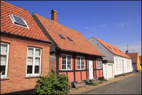 Ronne14009.jpg