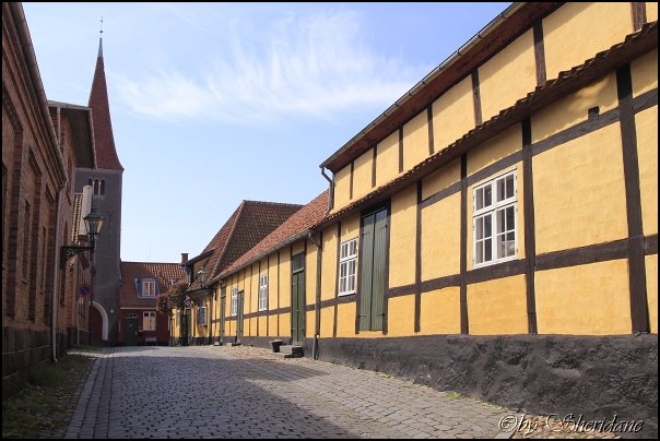 Ronne14016.jpg
