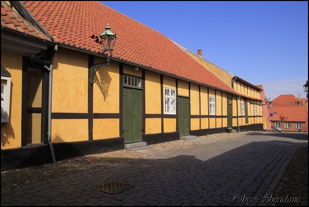 Ronne14018.jpg