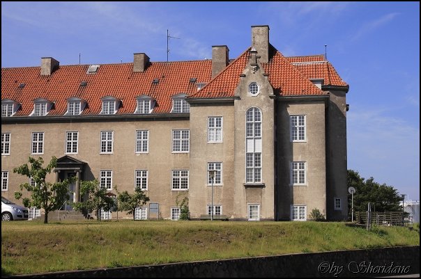 Ronne14023.jpg
