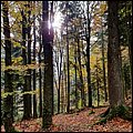 Roding21028.jpg