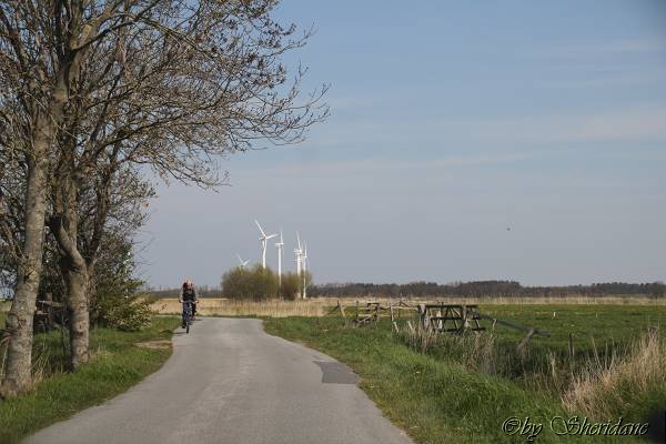 Cuxhaven006.jpg