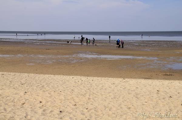 Cuxhaven013.jpg