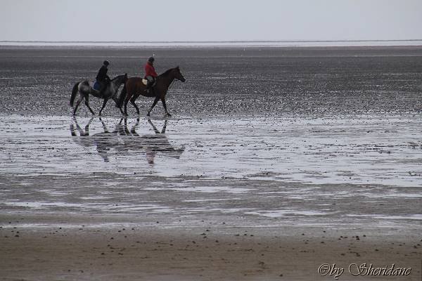 Cuxhaven042.jpg