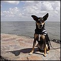 Cuxhaven040.jpg