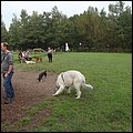 Dogotel036.jpg