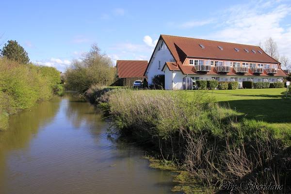 Dorum002.jpg