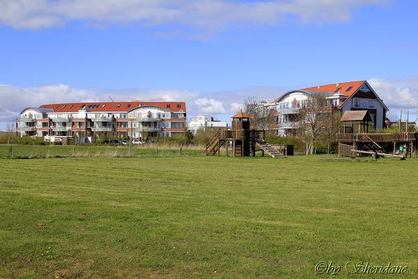 Dorum004.jpg
