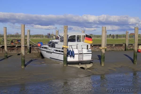 Dorum015.jpg