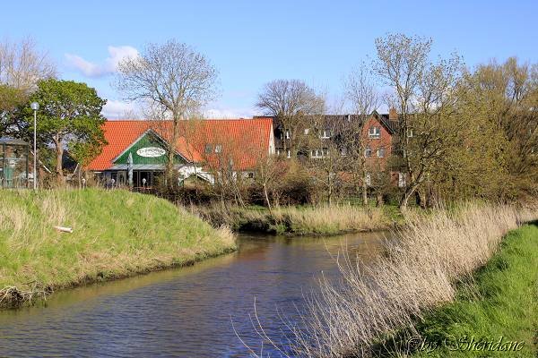 Dorum017.jpg