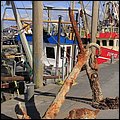 Dorum016.jpg