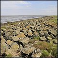 Dorum022.jpg