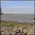 Dorum023.jpg
