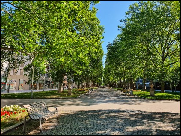 Dresden20086.jpg