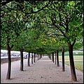 Dresden20010.jpg