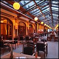 Dresden20082.jpg
