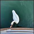 Brombachsee21022.jpg