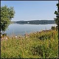 Brombachsee21038.jpg