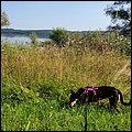 Brombachsee21043.jpg