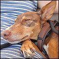 Brombachsee21050.jpg
