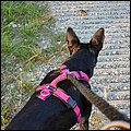Brombachsee21058.jpg