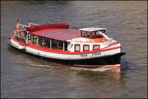 Hamburg30_2012.jpg